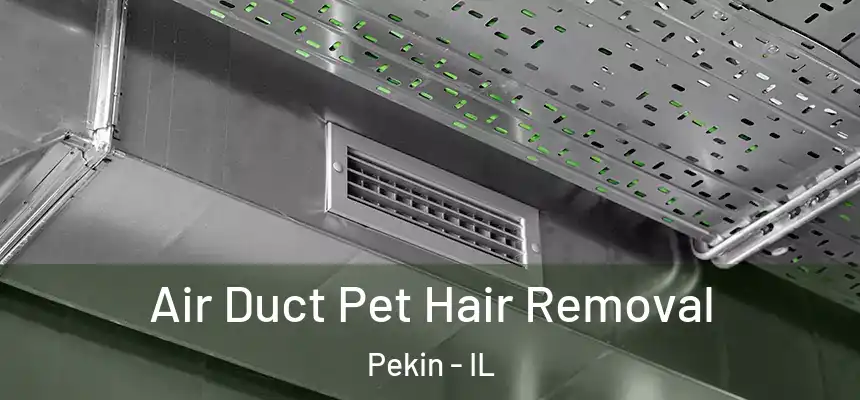 Air Duct Pet Hair Removal Pekin - IL