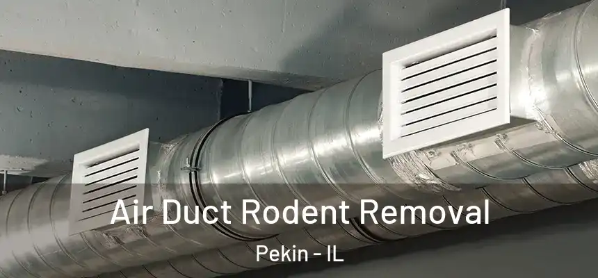 Air Duct Rodent Removal Pekin - IL