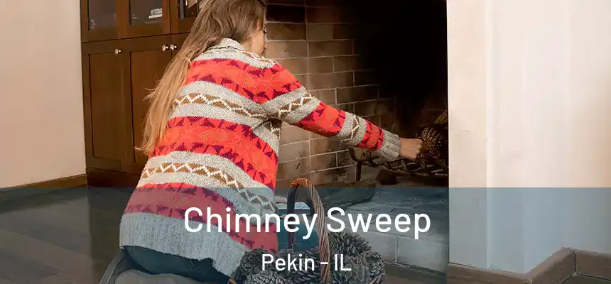  Chimney Sweep Pekin - IL