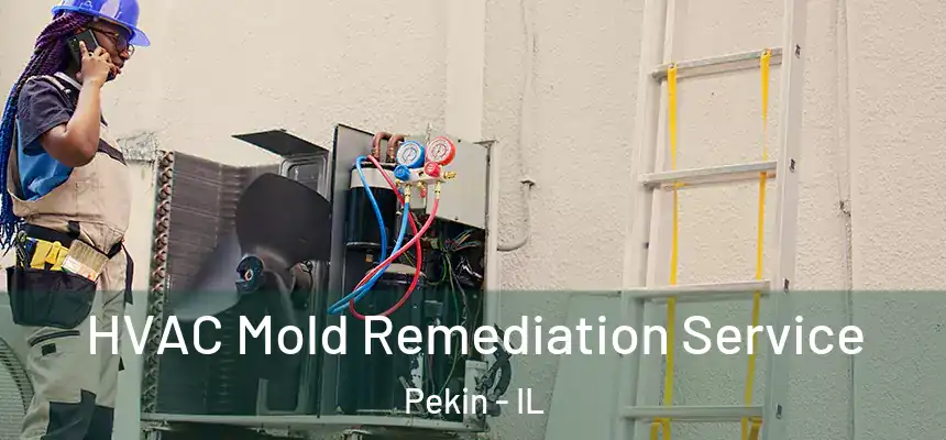  HVAC Mold Remediation Service Pekin - IL