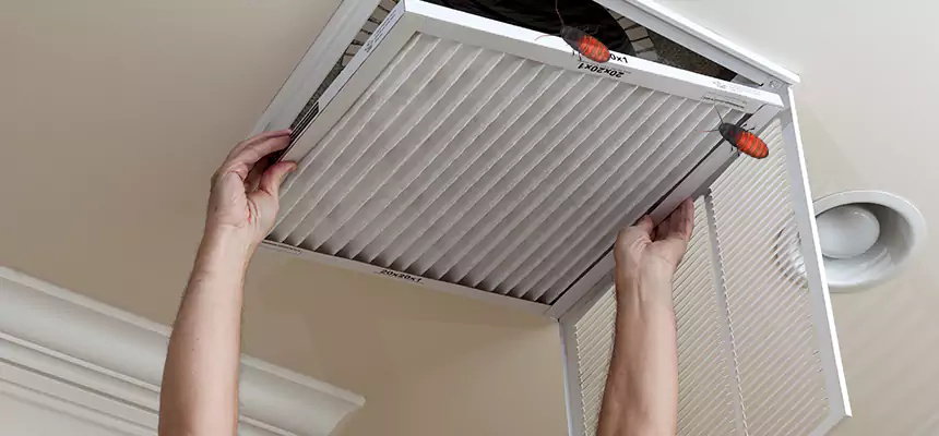 Preventive Cockroach-Proofing for Ducts in Pekin