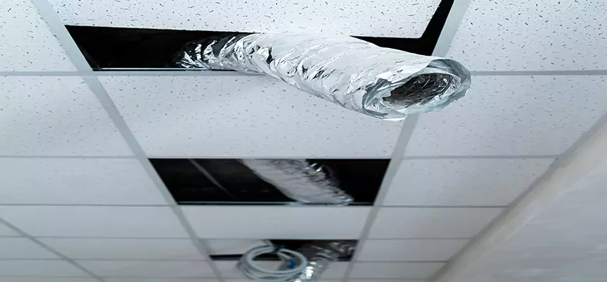 Our Air Duct Pet Hair Removal Services in Pekin, IL