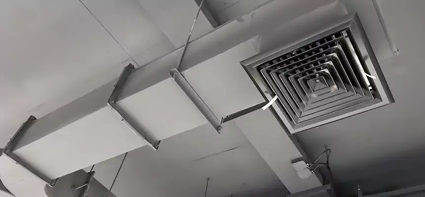 Restorative Allergy Relief Vent Cleaning – Coil, Blower & Housing Detail in Pekin