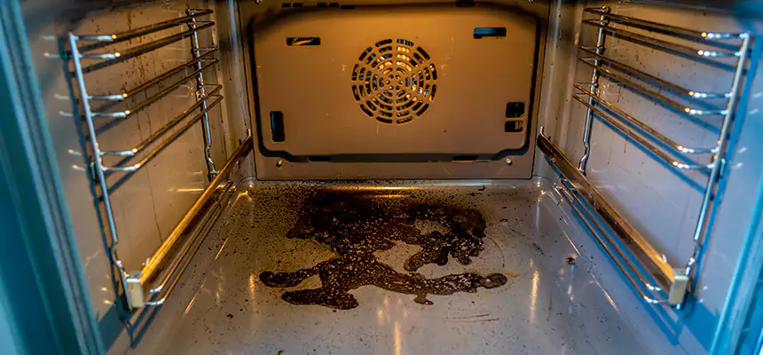 Our Dryer Vent Mold Cleaning Services in Pekin, IL