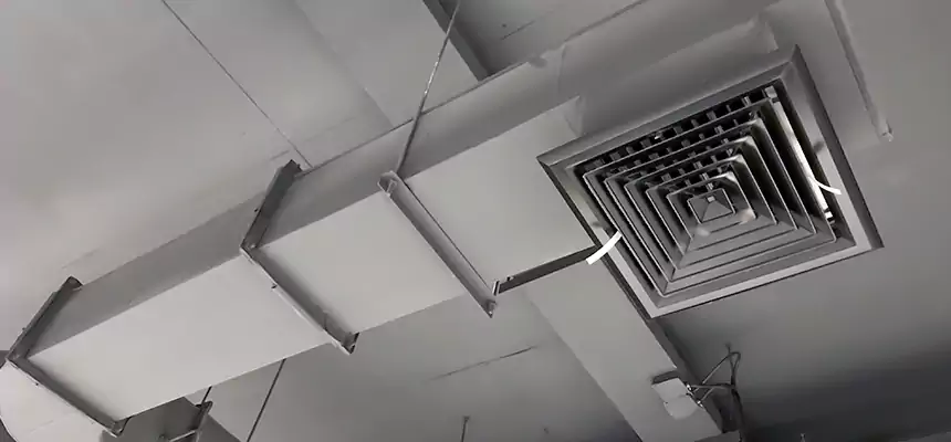 Our Pest Removal From Ducts Services in Pekin, IL