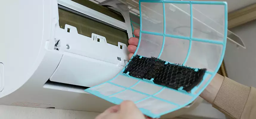 Gentle Ductwork Odor-Control Pet Dander Duct Cleaning in Pekin, IL