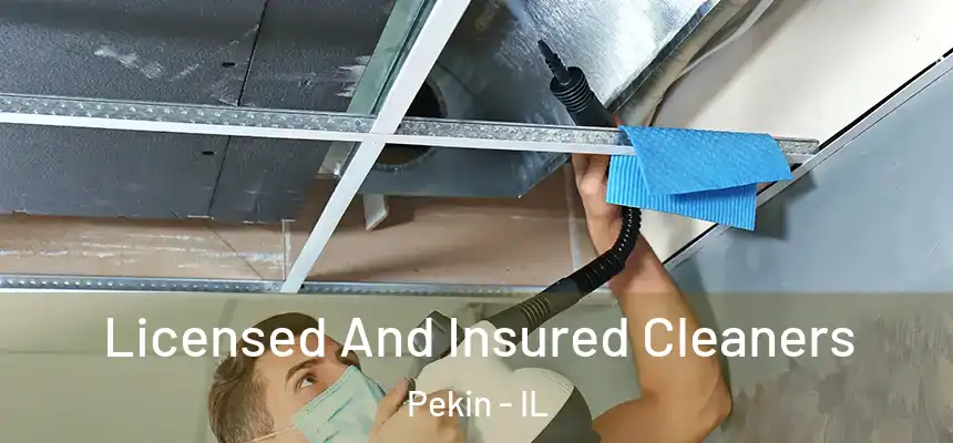  Licensed And Insured Cleaners Pekin - IL