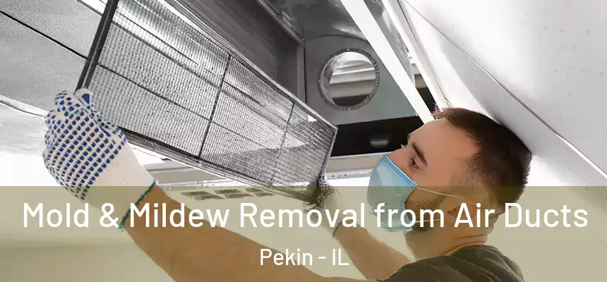  Mold & Mildew Removal from Air Ducts Pekin - IL