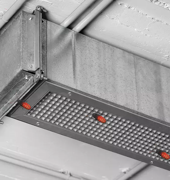 Affordable Insect Removal from Air Ducts in Pekin, IL