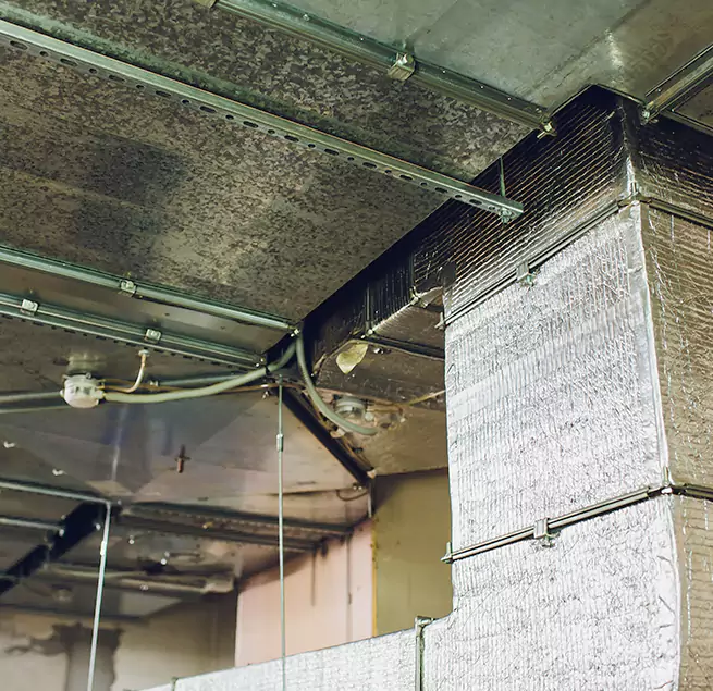 Why Homeowners & Businesses Trust Us in Pekin, IL?